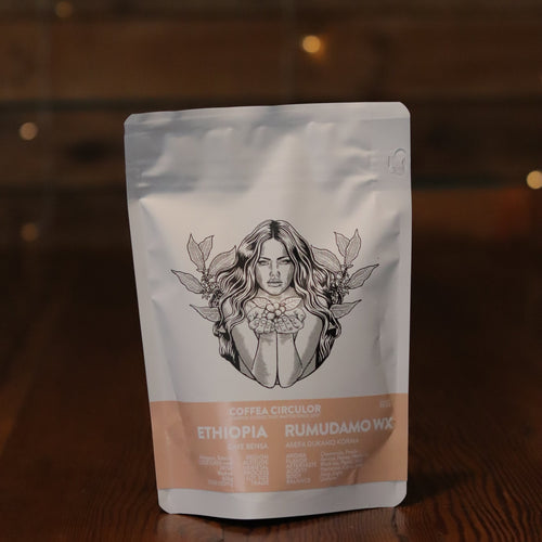 Coffea Circulor Daye Bensa [Ethiopia]